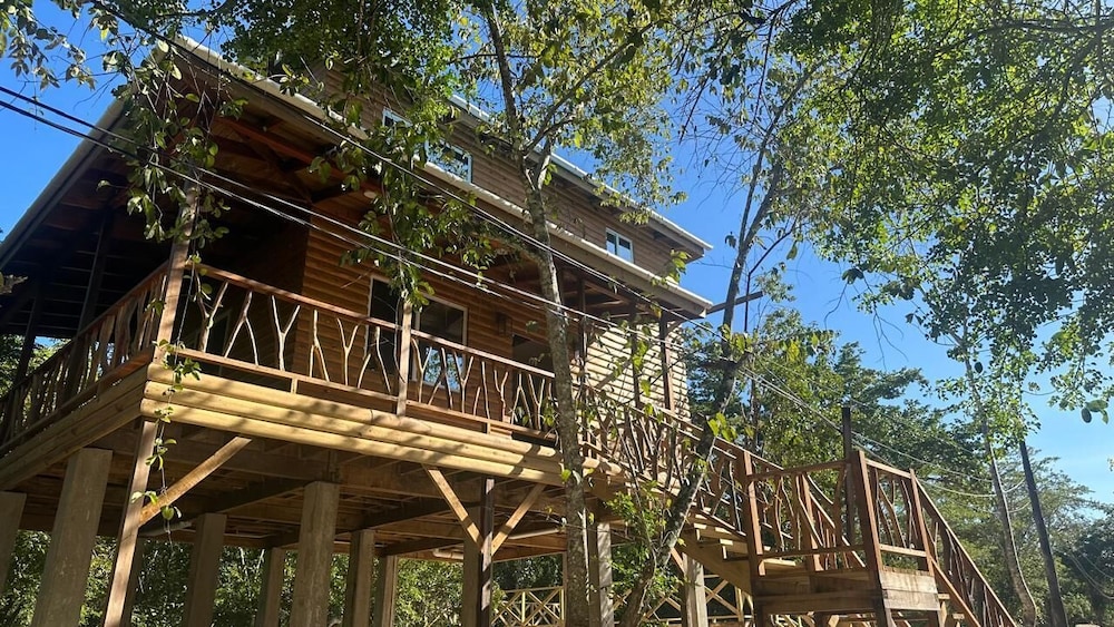 Luxurious Jungle House