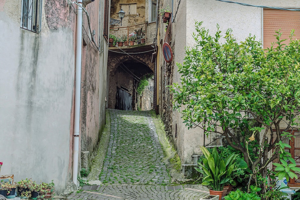 Mary's House