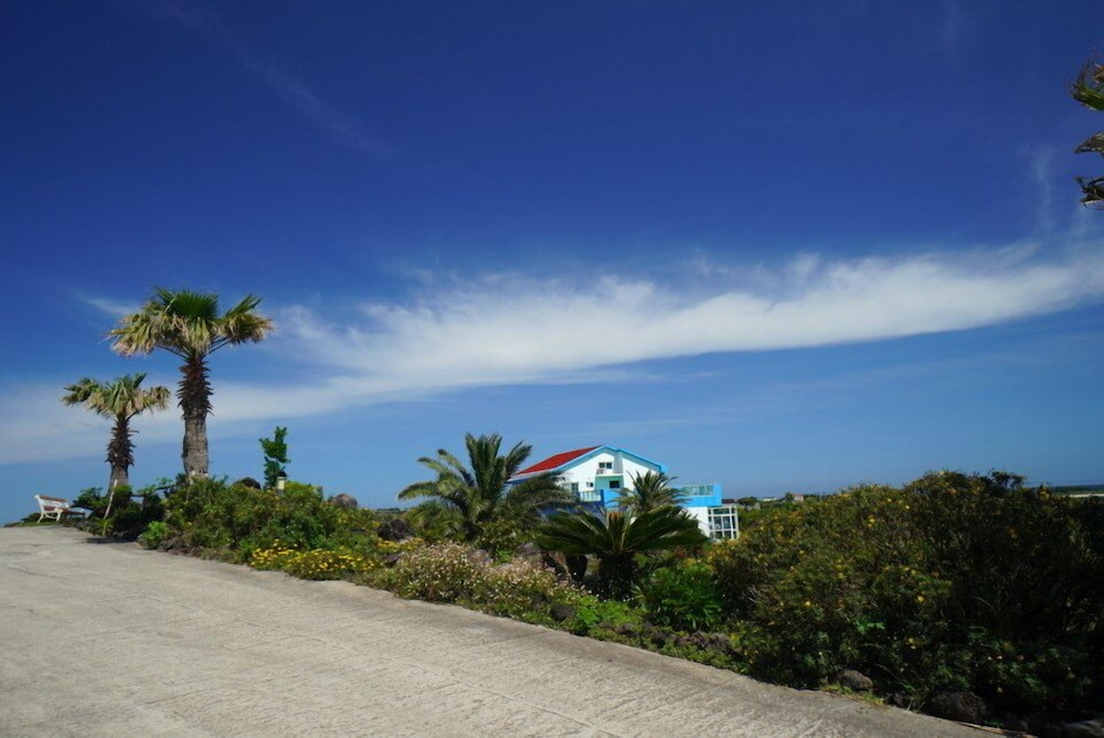 Amor House