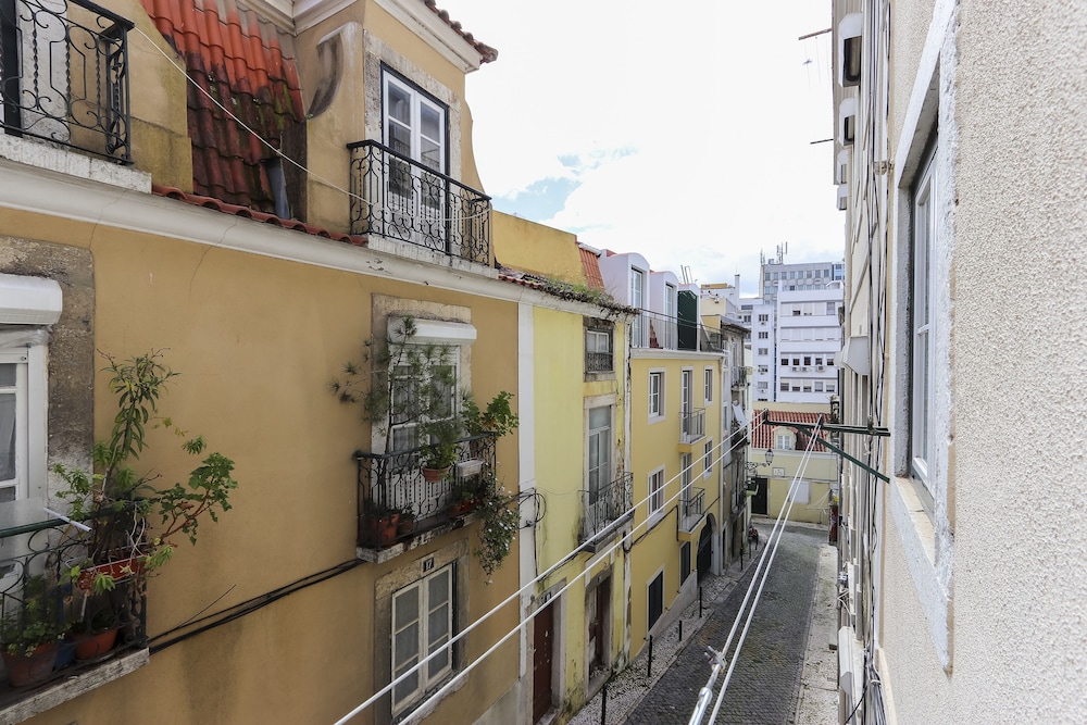 Cosy Liberdade by Homing