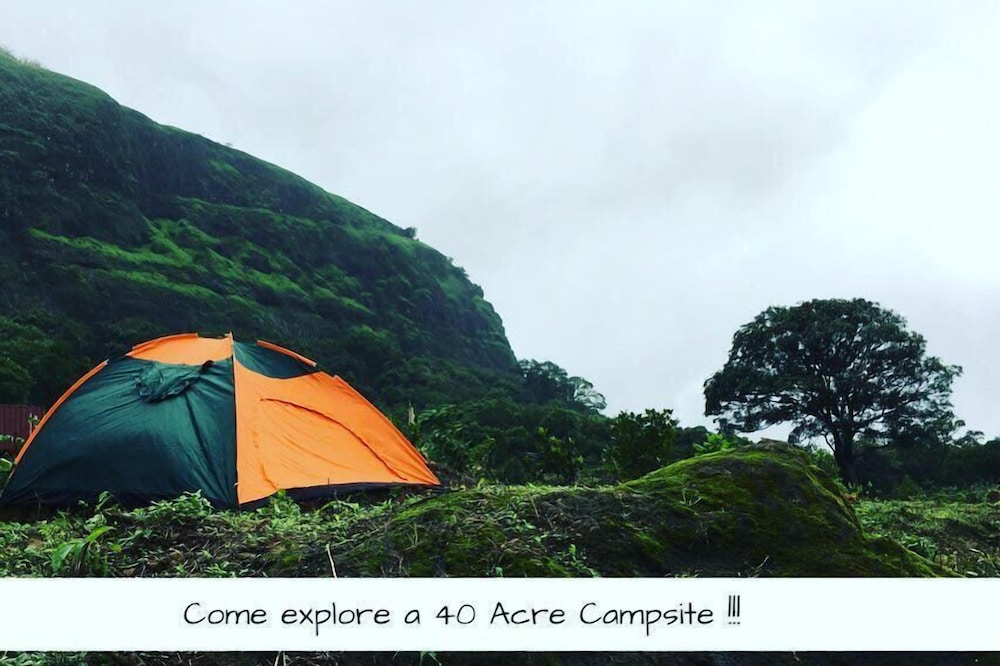 Canary Forest Camping view 3