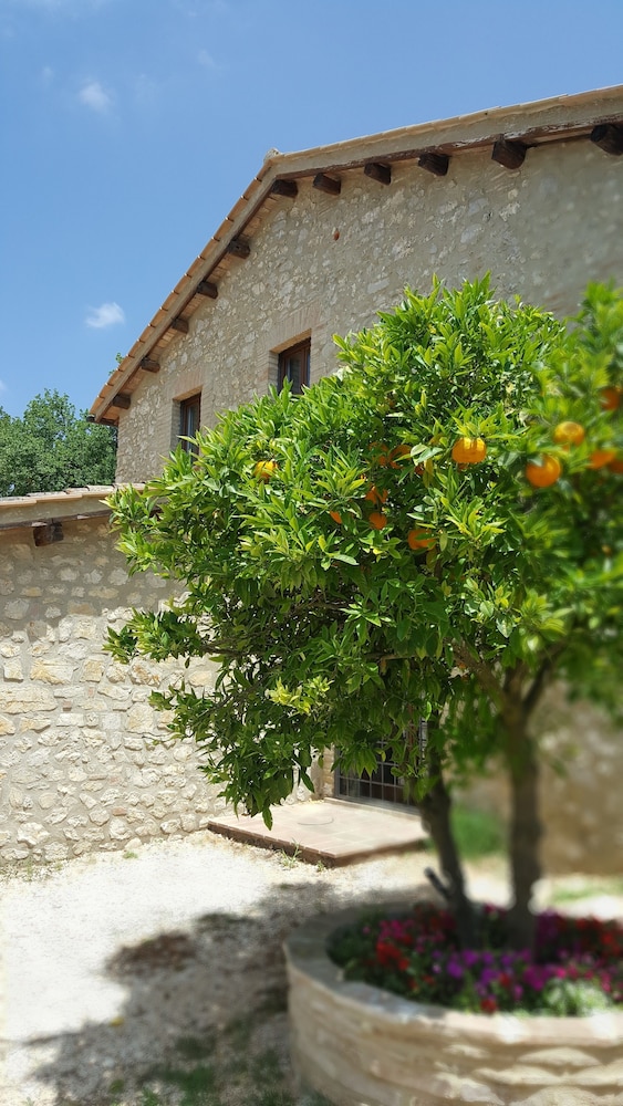 Il Merangolo