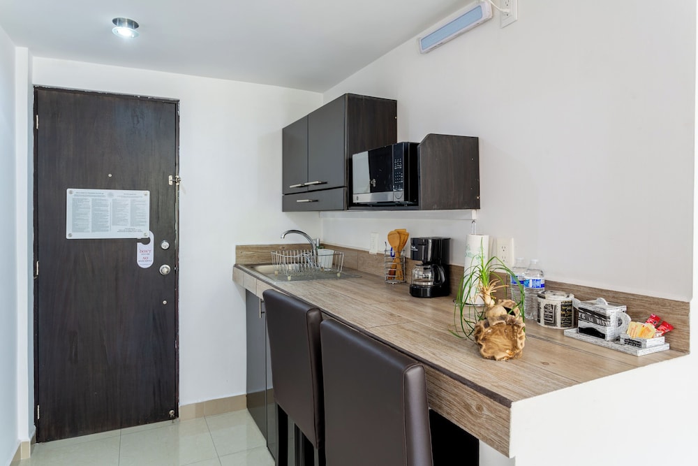 Suites259
