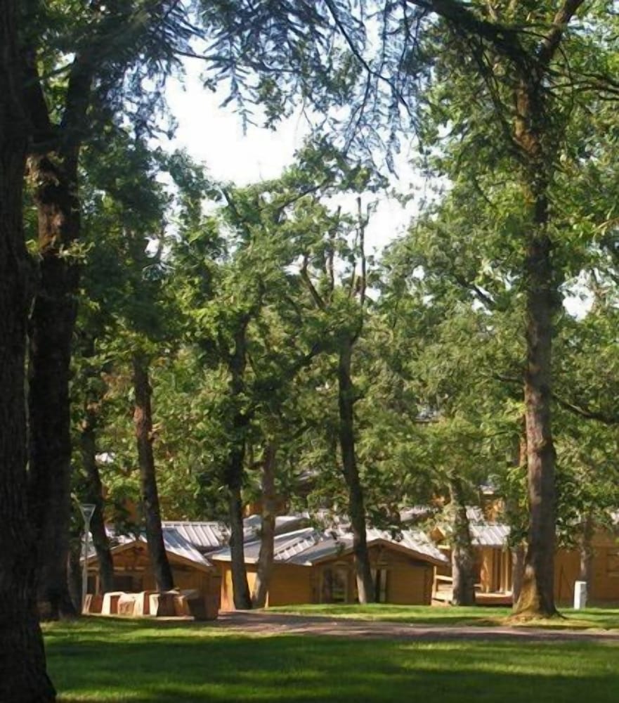 Photo 47