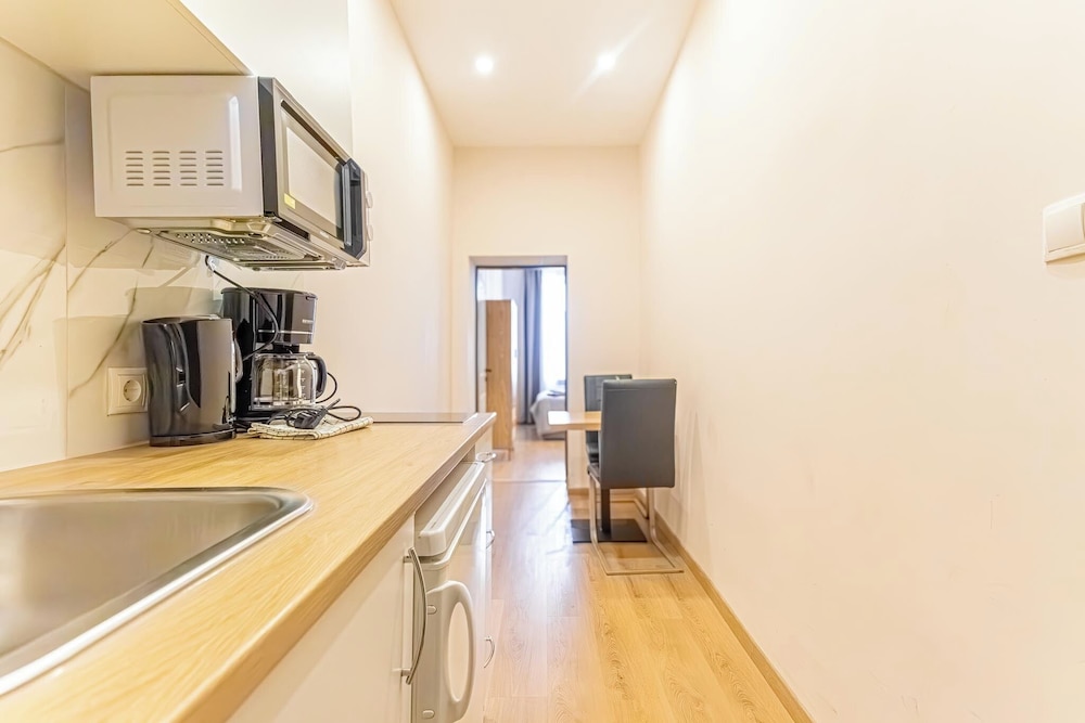 9BR Apts in the Heart of Vienna