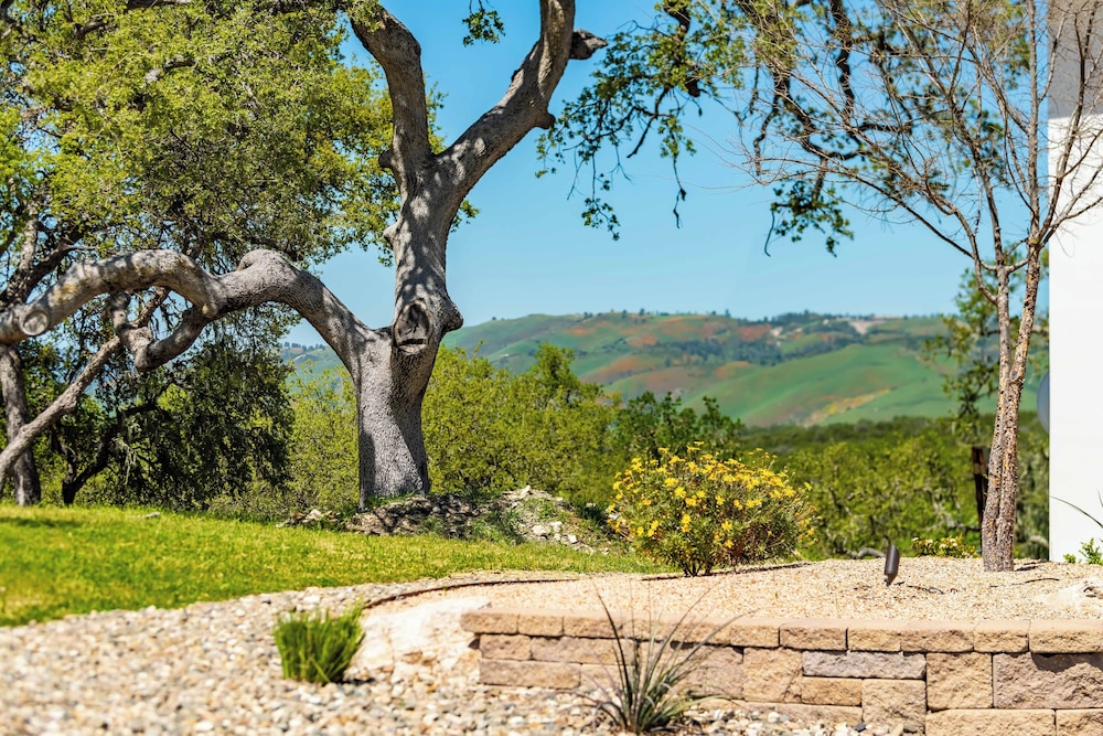 Blue Oak Oasis At Lake Naci
