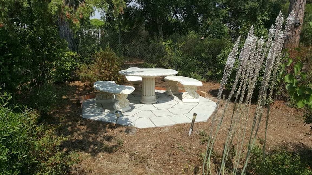 Photo 42