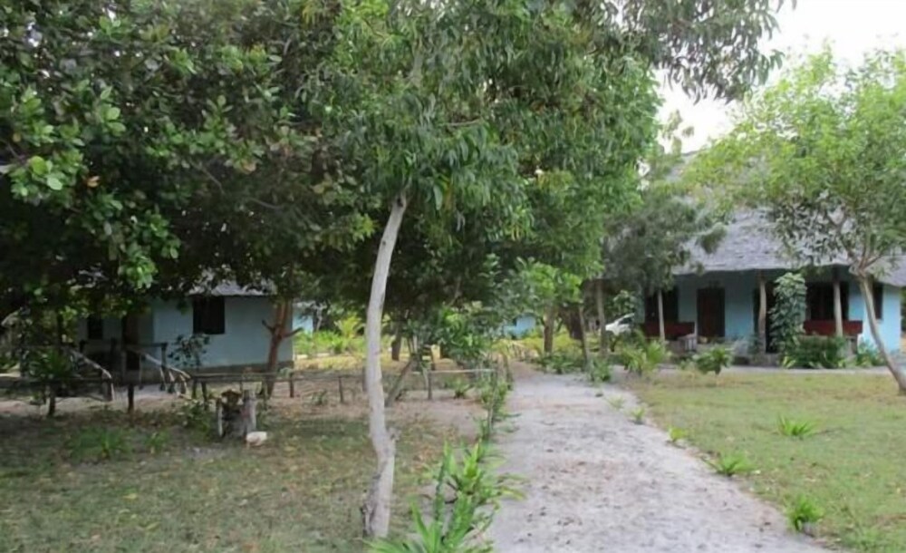 Photo 26