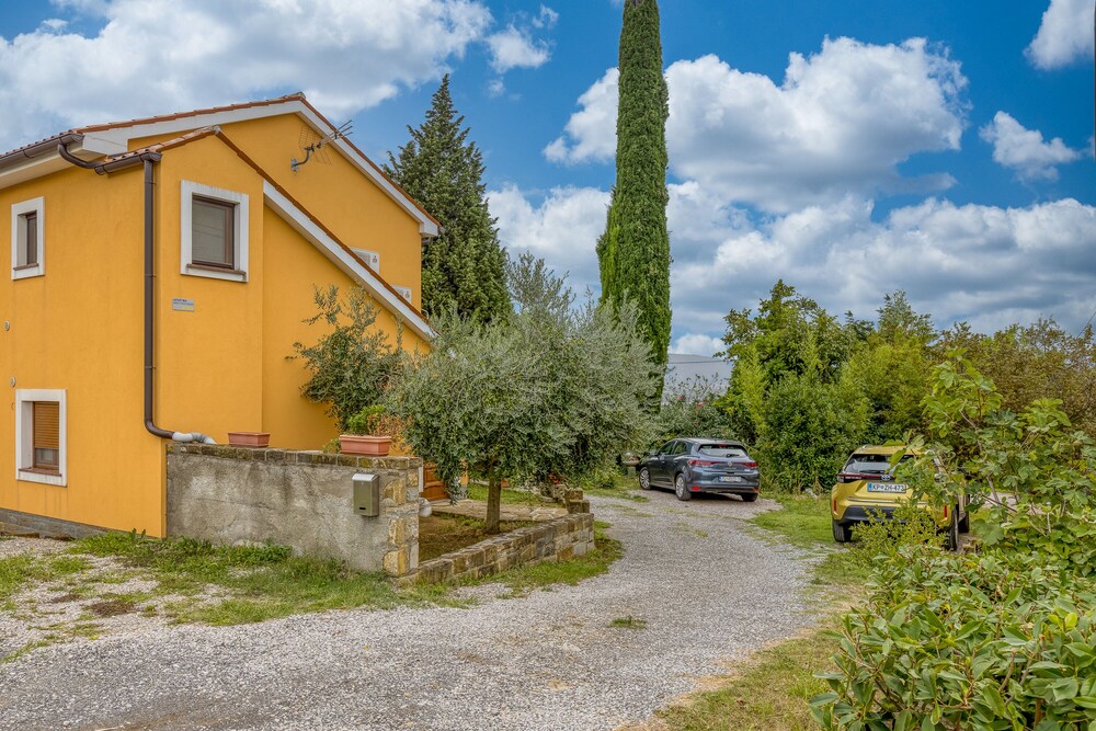 House In The Vineyards