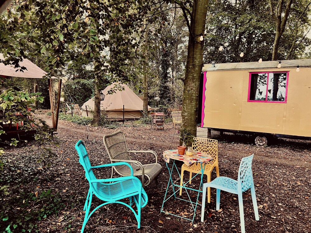Camping De Helleborus
