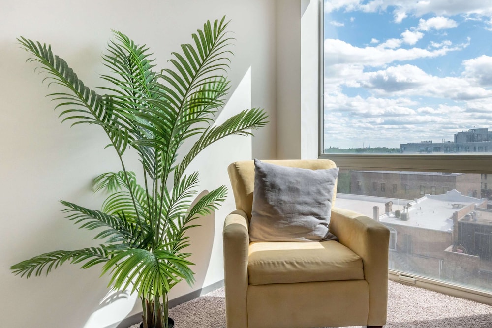 New & Modern Lux City Escape
