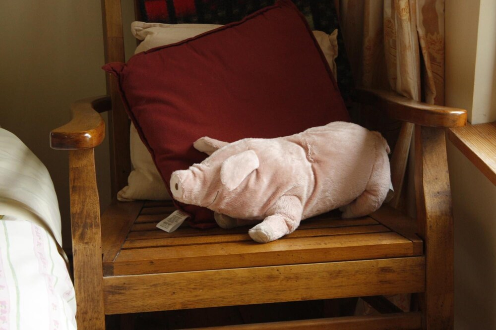 Photo 26