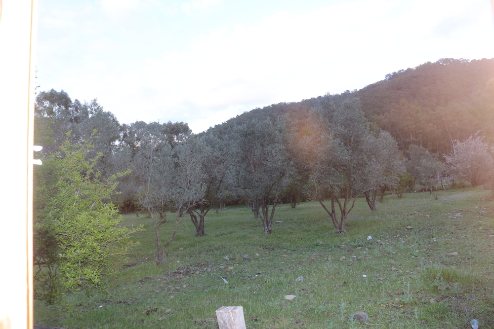 Fark Edenler Camping&Caravan&Bungalows view 3