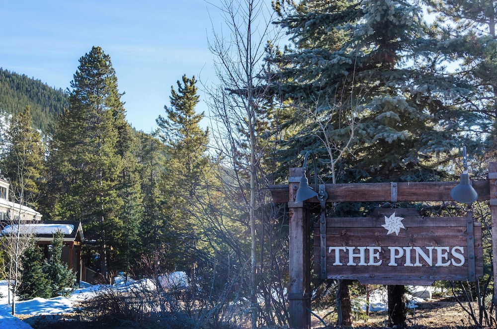 Pines #2166