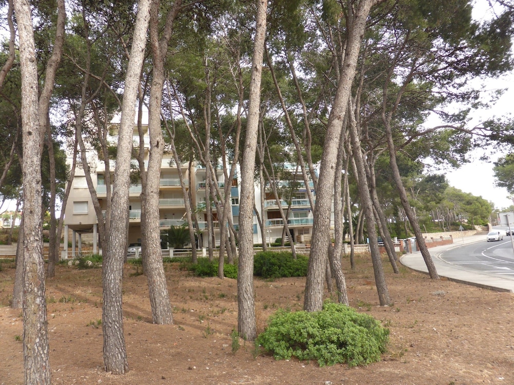 Apartamento M&C del Bosc