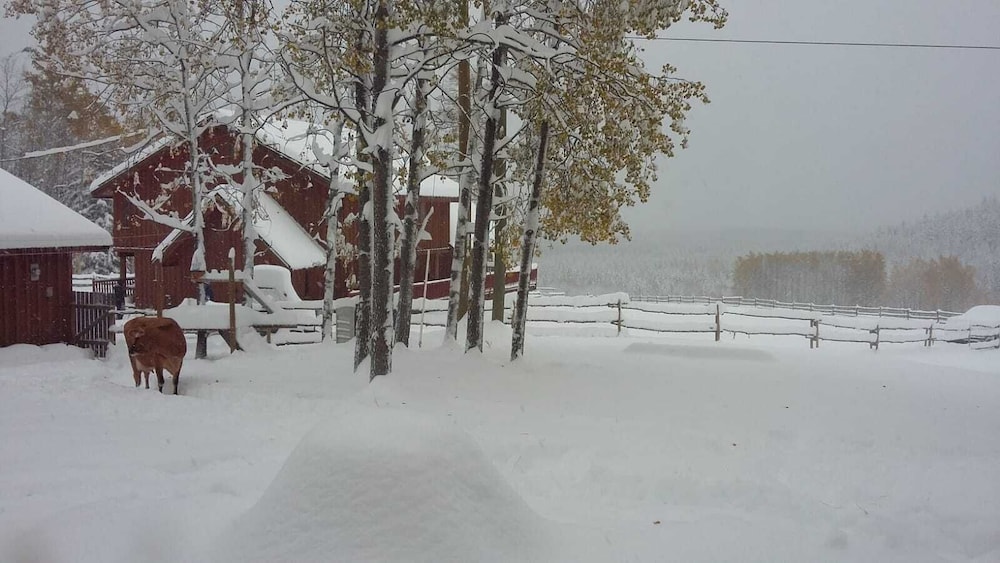 Montana Hill Guest Ranch