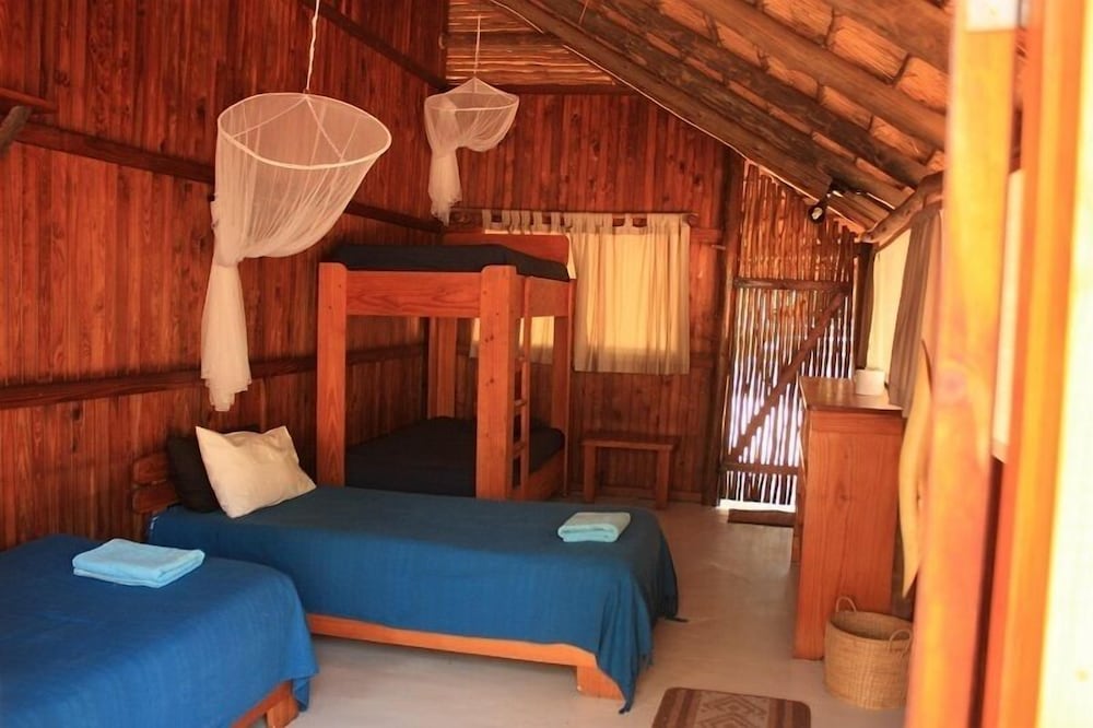 Offbeat Safaris