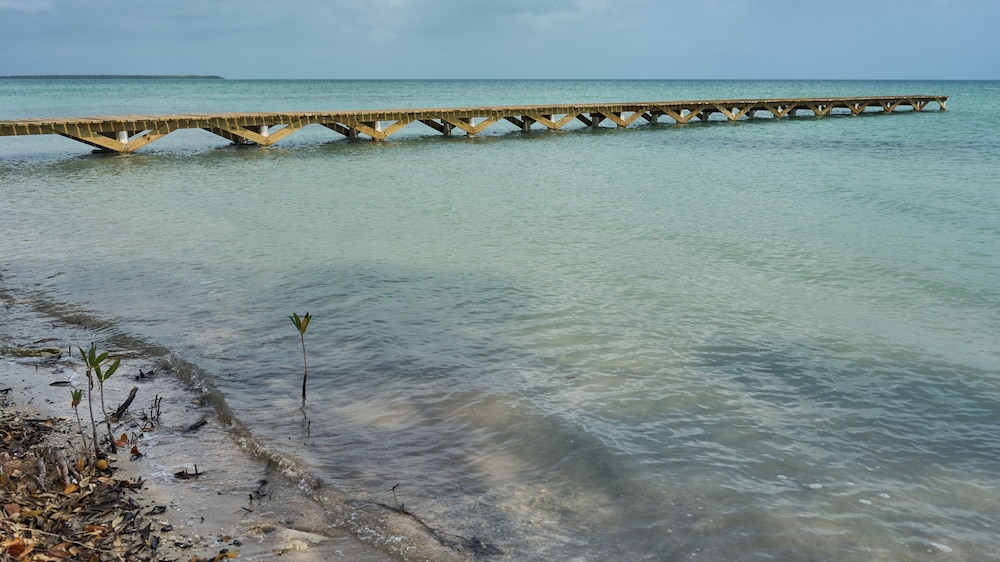 Belizima Eco Resort