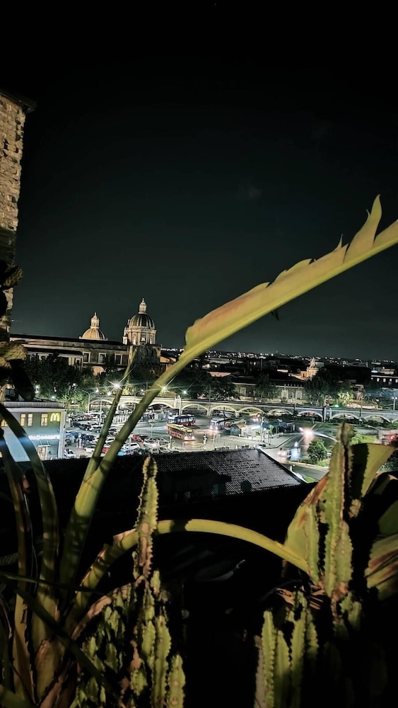 Rooftop53