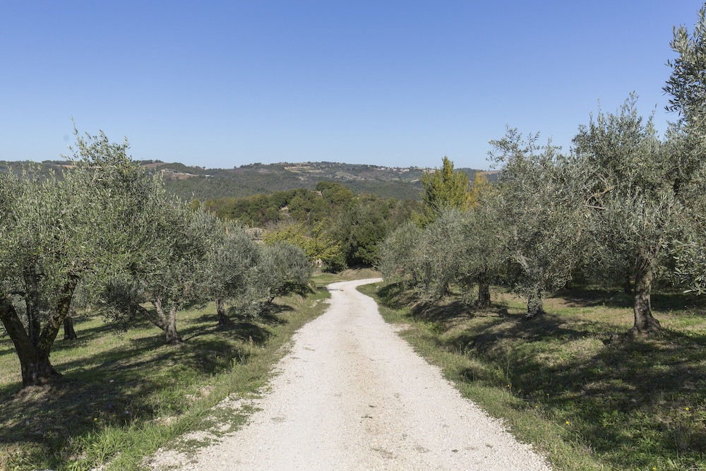 Podere le Corone