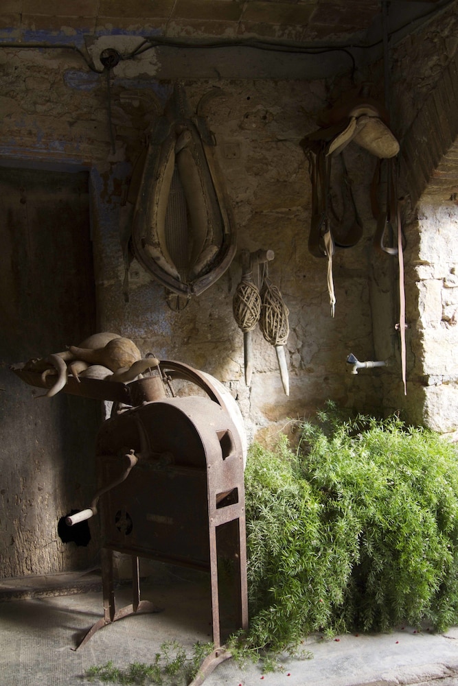 Can Barnosell - Els Masos d'en Coll