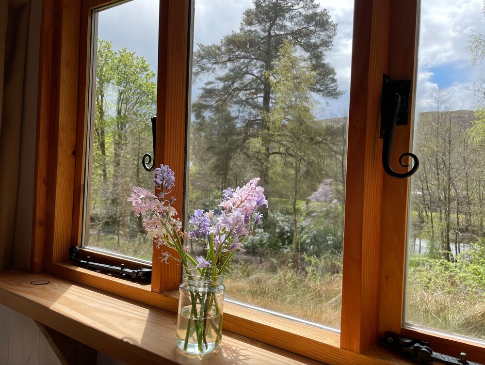 Cosy Woodland off Grid Shepherds Hut - Rowan view 2