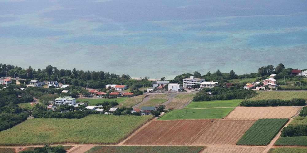 Umisuzume, Ishigaki - 17
