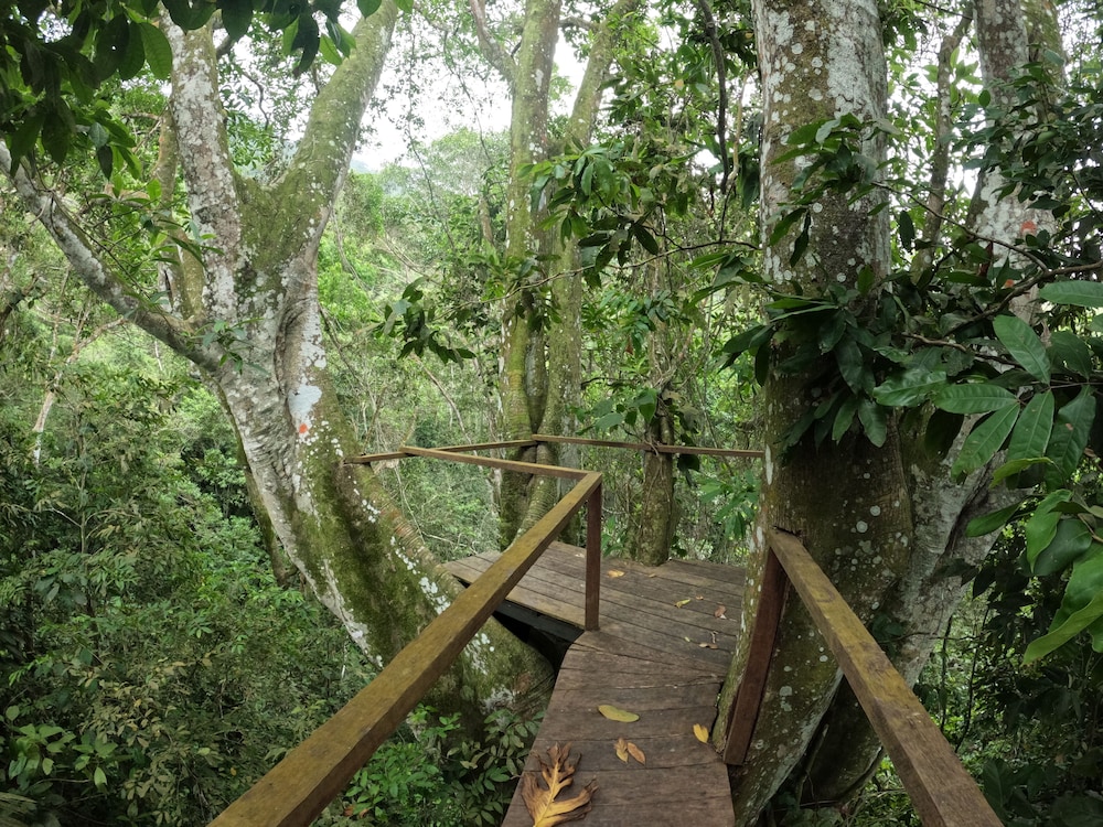 Taorayiná nature reserve