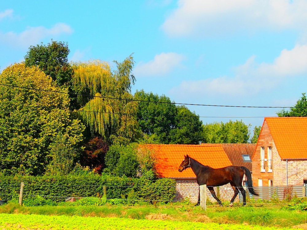 Gite L'archipel