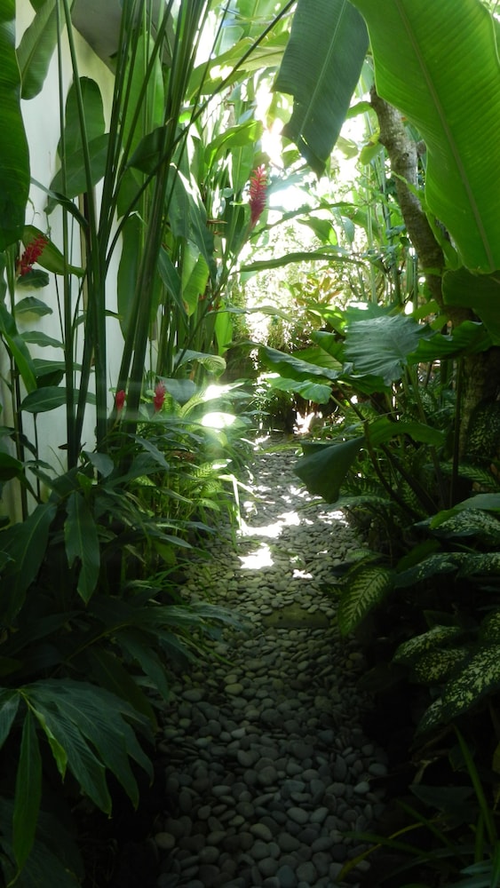 Photo 30