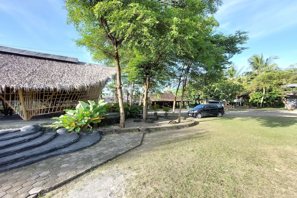 Photo 20