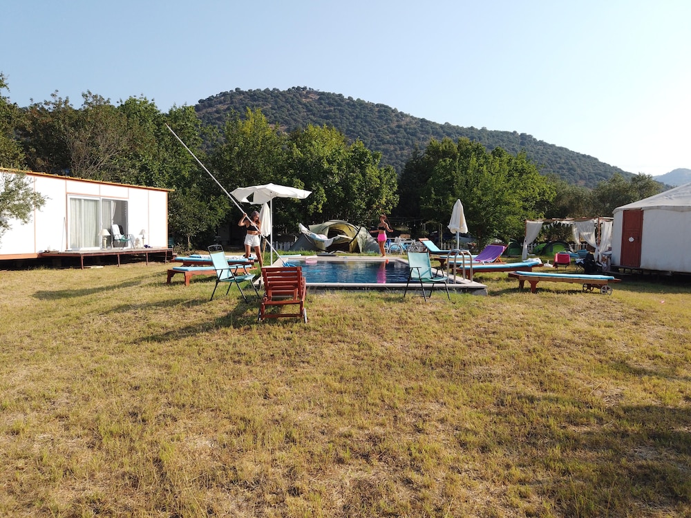 Photo 41