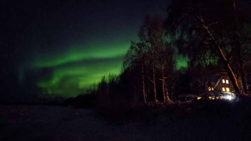 Backwoods Cabins at Susitna River Lodge view 4