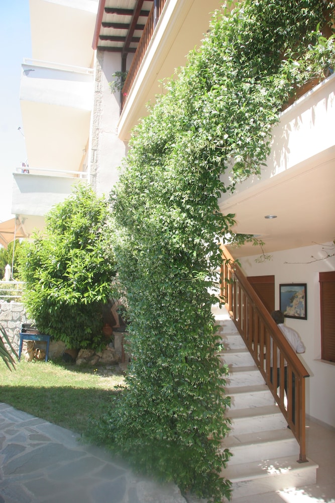 Erifili