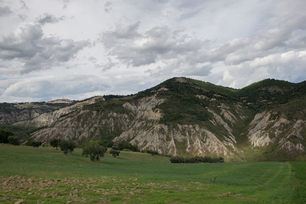 Società Agricola Zucchera S.S. photo 4