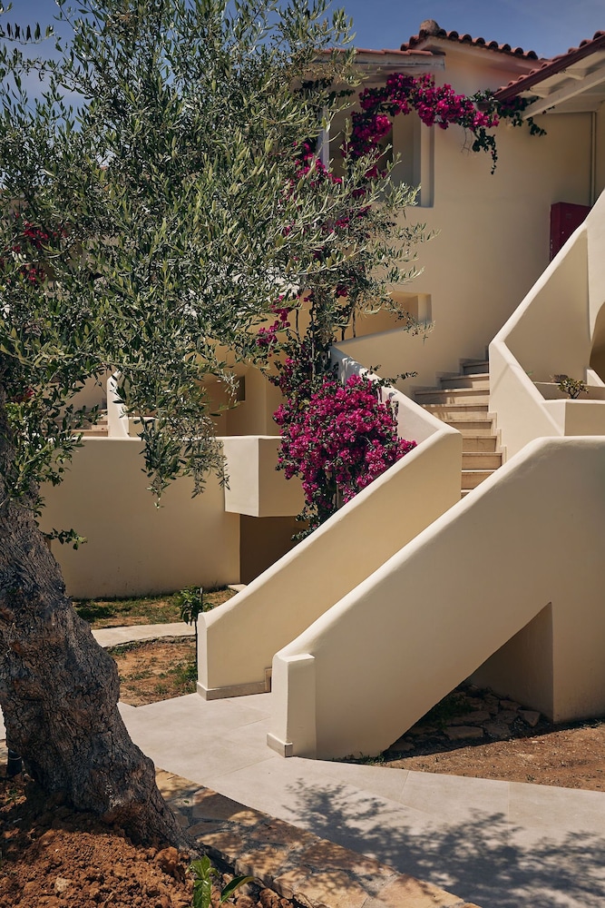 Hotel Tsamis Zante Suites - Adults Only - Image 1