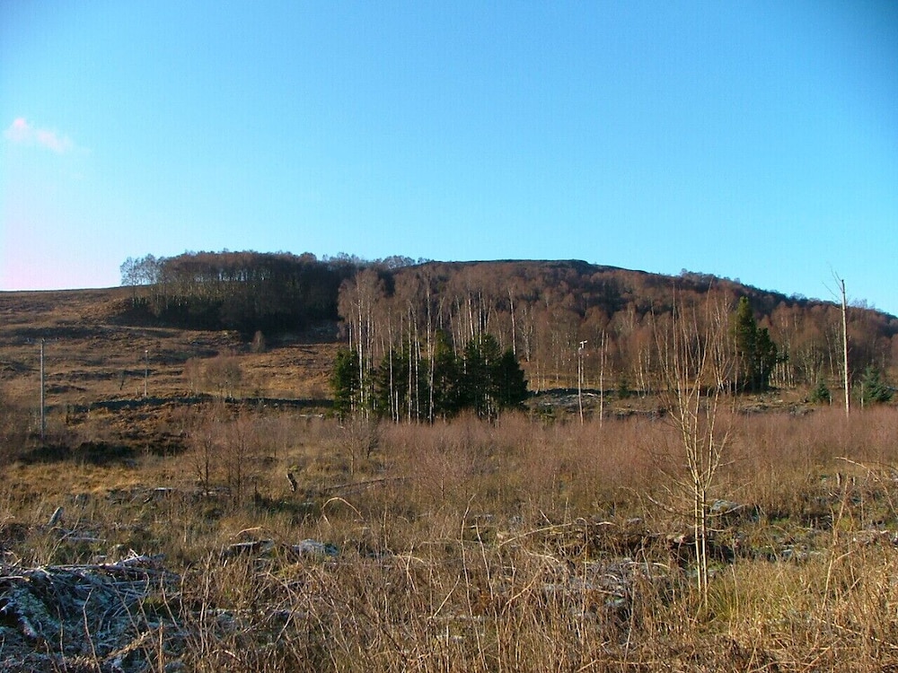 Photo 43