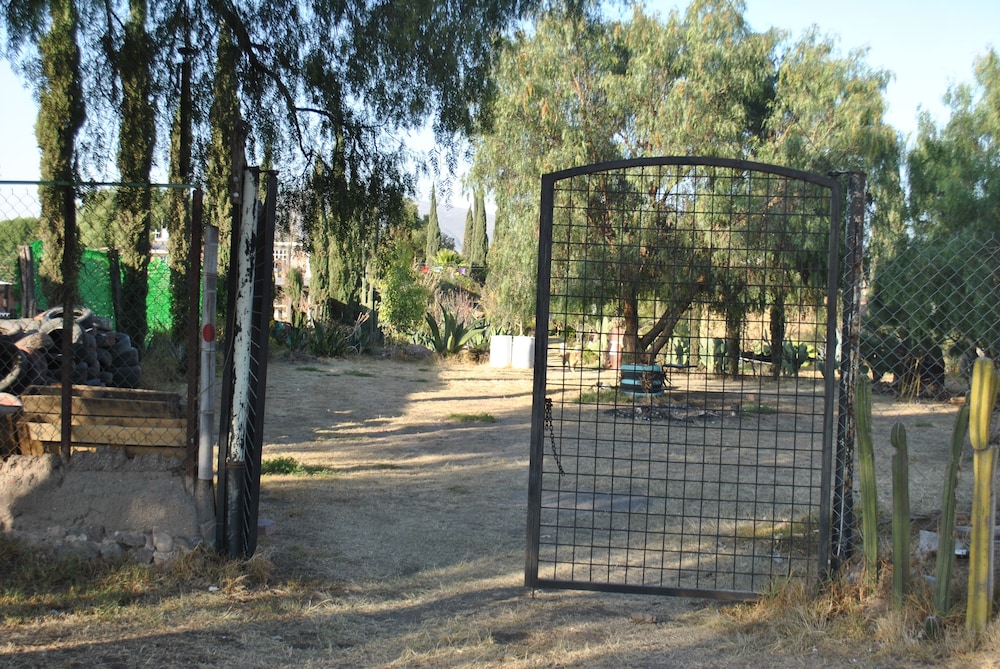 Photo 24
