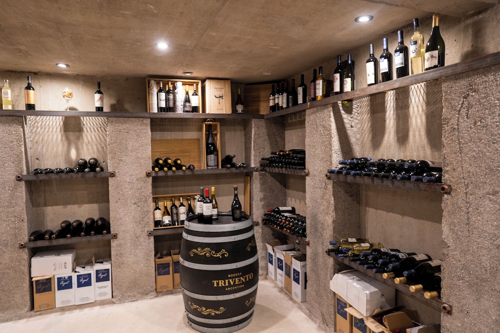 Ayres de Uco Lodge & Wine Lovers
