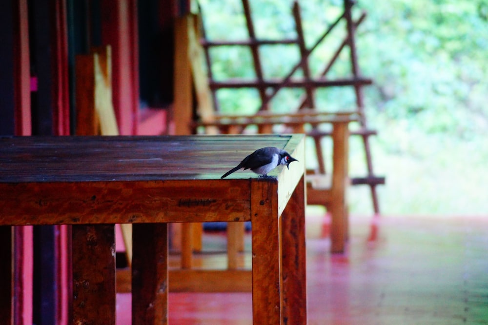 Secret Valley Jungle Resort