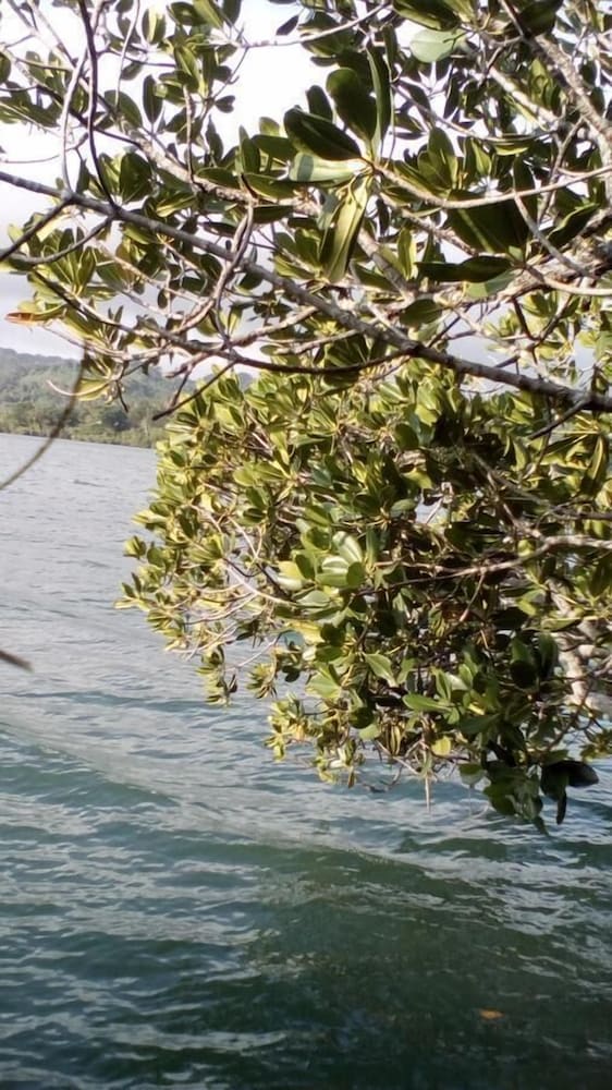 Mahun on the Lagoon Bungalows