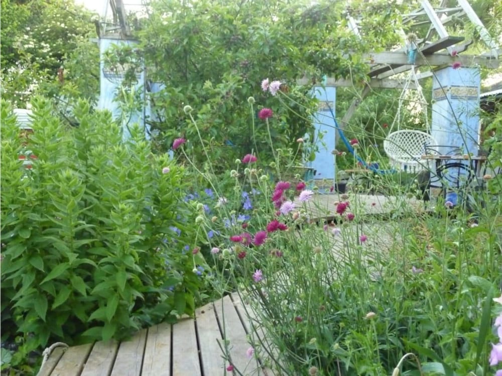 Photo 10