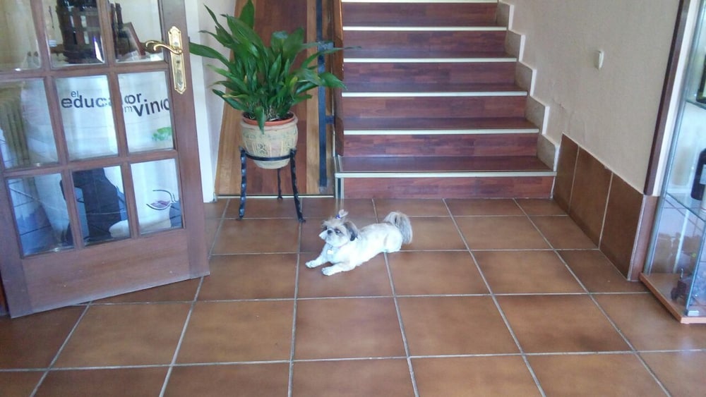 Hotel Montes Blancos photo 3
