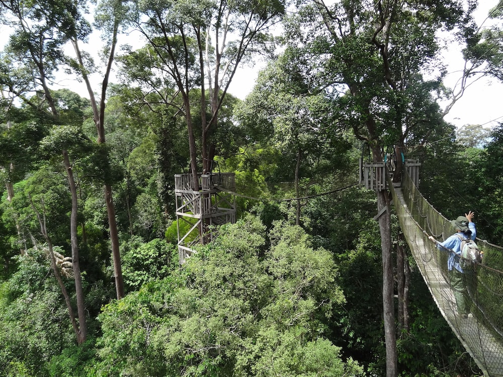 Samboja Lodge