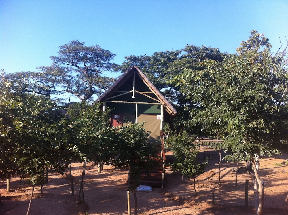 Lion Roars Lodge