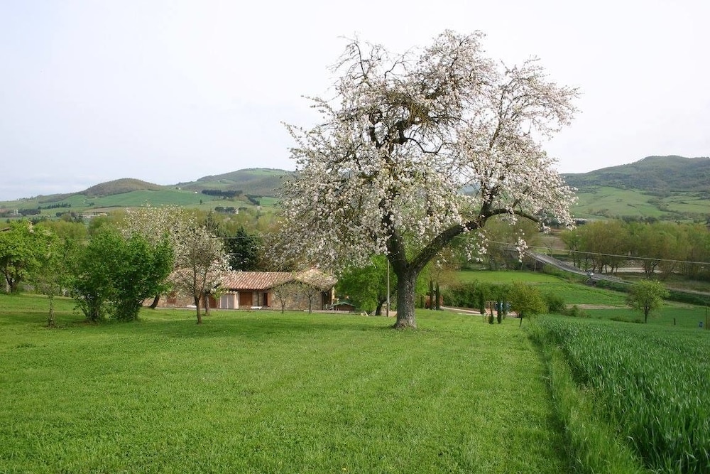 La Collina dei Ciliegi