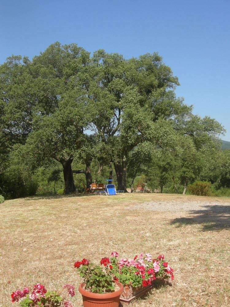 Agriturismo Poggio Macinaio