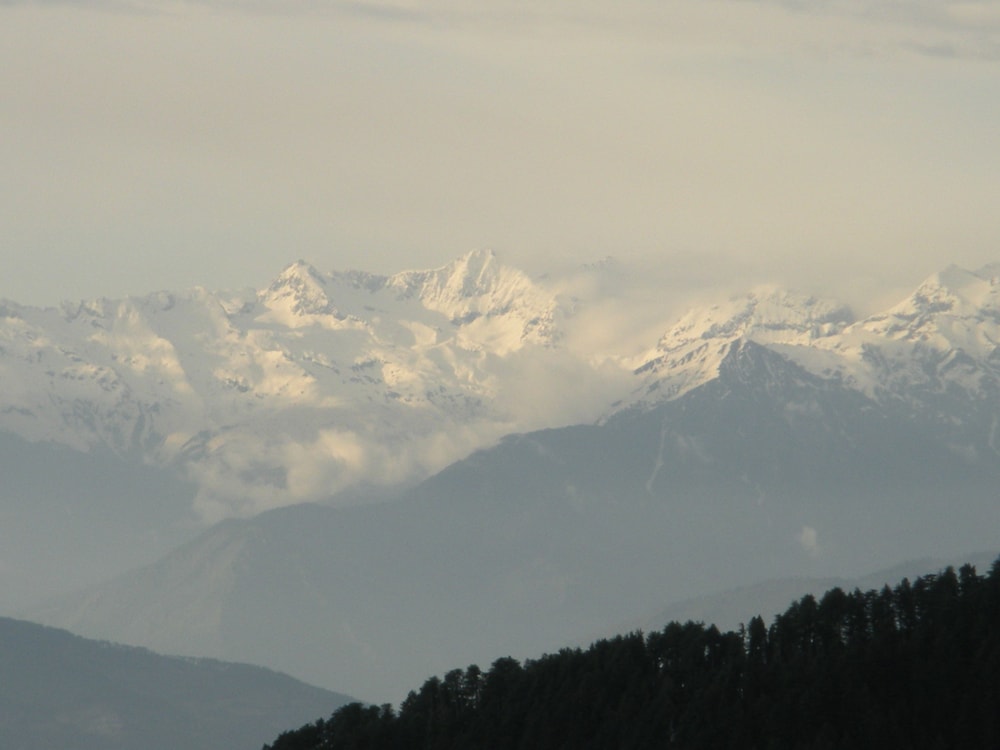 Aamod Dalhousie