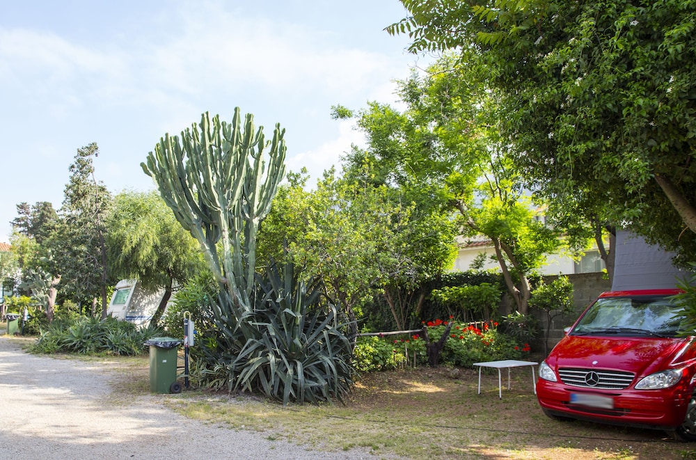 Camping Degli Ulivi photo 4