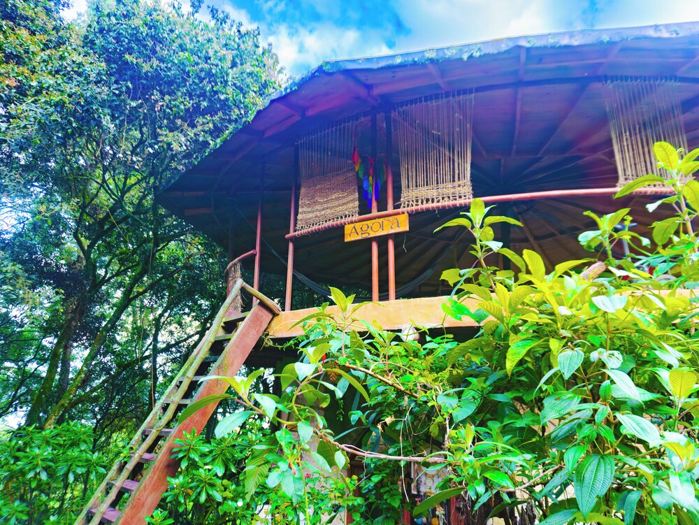Reserva Botánica Choachí
